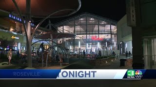Roseville shopping centers, police prepare for rise in thefts during holidays