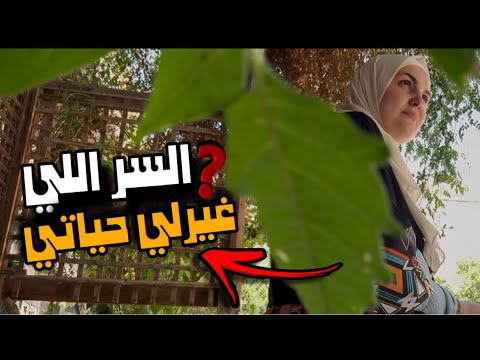 انتبهت قبل فوات الأوان روتين الطاقة الايجابية 