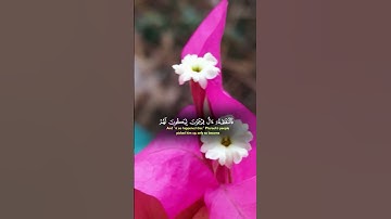 اسمع القران الكريم #القران #اكسبلور #لايك