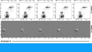4C736A396B3DE44EE06A2FDC52D6E1#1 E3e7c13a37d1c87719bd2ed59e8d2b 1