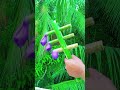 Nature meets Creativity! 🎋 #DIY #BambooCraft #Invention#bamboo #shortvideo #diy #toys #craft