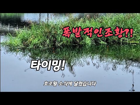 호조황 소식에 달렸습니다