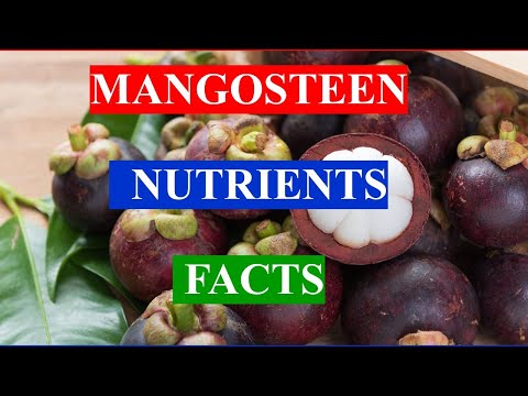 MANGOSTEEN FRUIT -