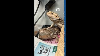 FOX 25 checked on the animals seized from a home where a 2-year-old died in a dog attack