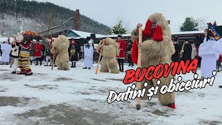 Download Lagu Datini și obiceiuri în Bucovina – Urși, mascați și cântec tradițional MP3