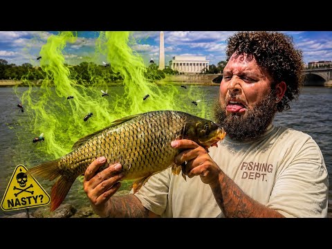 Everyone Says This Fish Tastes HORRIBLE.... So I Ate it
