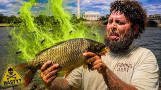 Everyone Says This Fish Tastes HORRIBLE.... So I Ate it