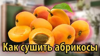 Как сушить абрикосы для компота и по есть