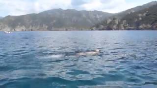 Andy a la réserve naturel Scandola en Corse.