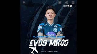 story wa keren ff versi Mr 05
