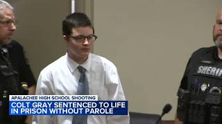 Teen Colt Gray sentenced to life without parole for deadly mass shooting at his Georgia high school
