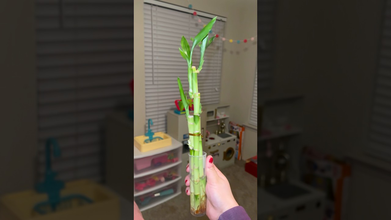 Made my husband a valentine gift bag 