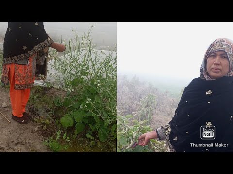 اتنی صبح تو زندگی میں 🌞میں کبھی باہر نہیں نکلی 🤔لیکن آج کہا کہا جانا پڑا وہ بھی صبح کے ٹائم