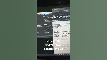 How to fix DS4Windows controller double input/fps bug