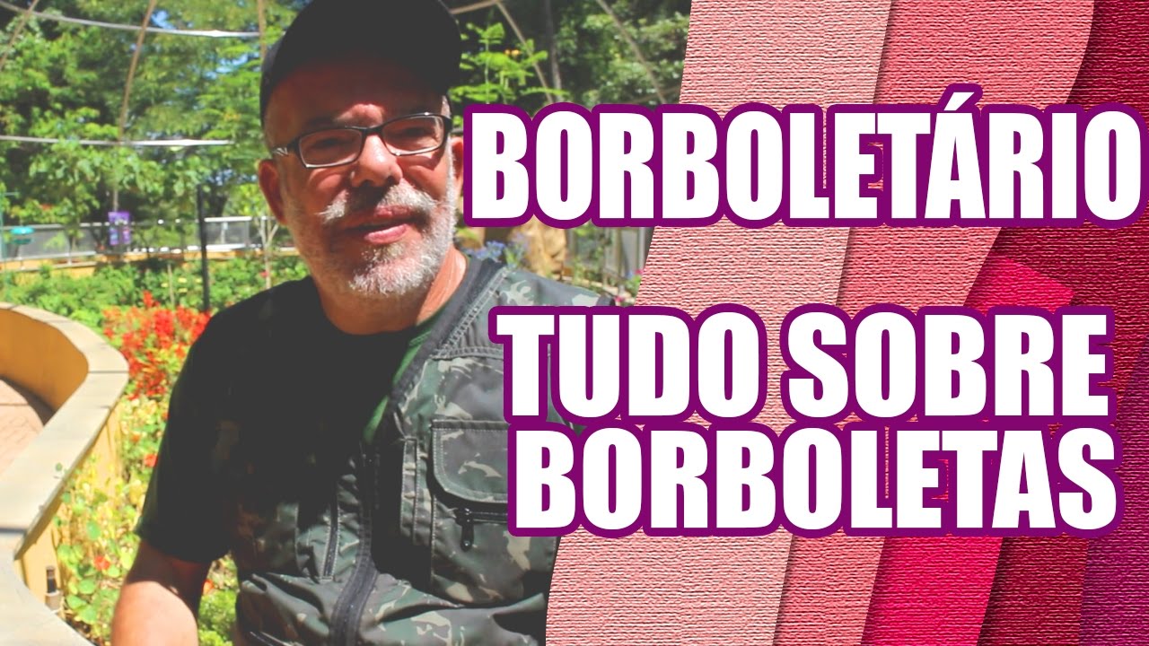 Tudo Sobre Borboletas