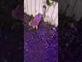 Киска на компах😁👍 #уфа #иглино