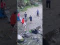 Joe Rogan on Crazy tourist at Yellowstone #joerogan #yellowstone #jre #jreclips