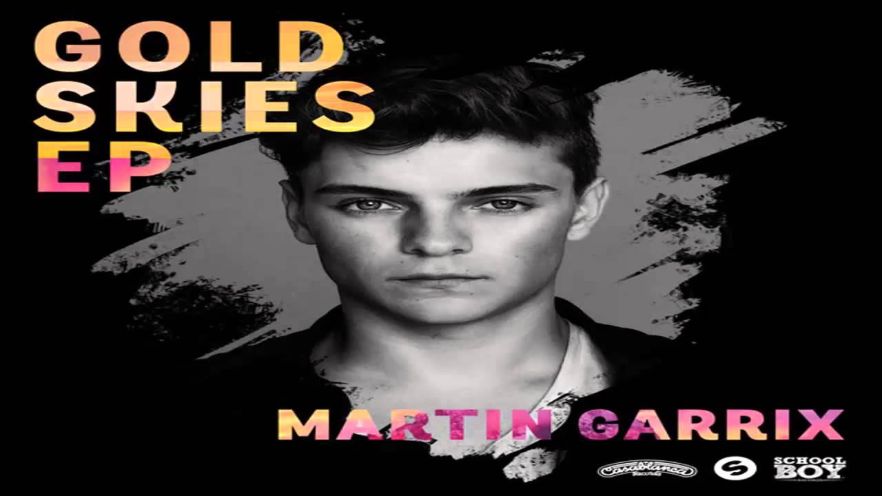 Martin Garrix Ft  Aleesia   Gold Skies LYRICS