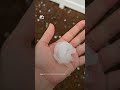 Tormentas azotaron a Carolina del Norte: el oeste con rayos y el este con vientos de hasta 60 mph