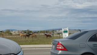 Up 844 Westbound Part 9 Of 9 Arriving In Boise Idaho