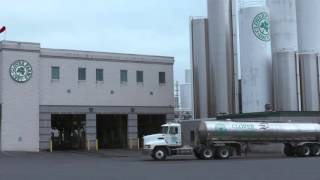 Clover Farms Milk - Fresh, Local