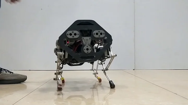 Trajectory based Deep Policy Search for Quadrupedal Walking