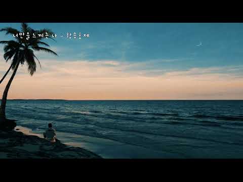 너만을 느끼는 나 - 황승호제 (가사ㅇ) 1994
