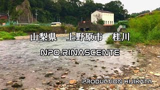 山梨県 上野原市 桂川 Youtube