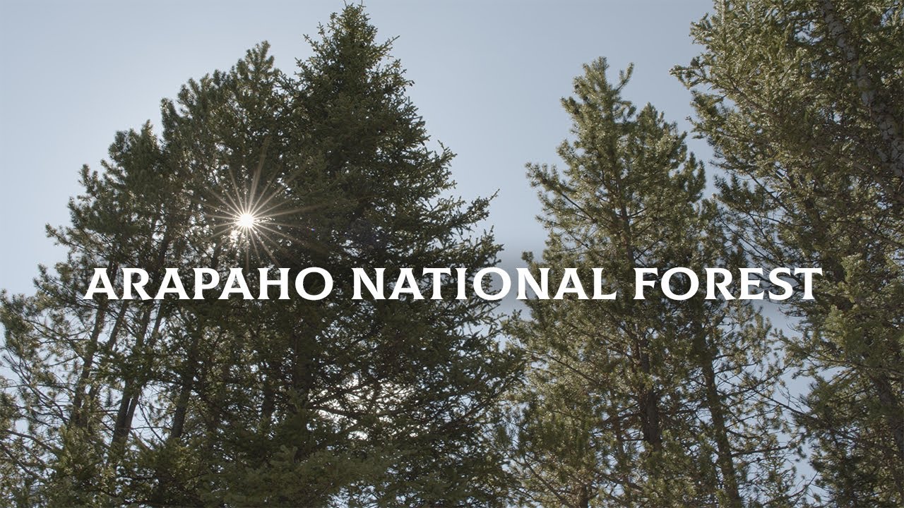 BMPCC 6K | Arapaho National Forest