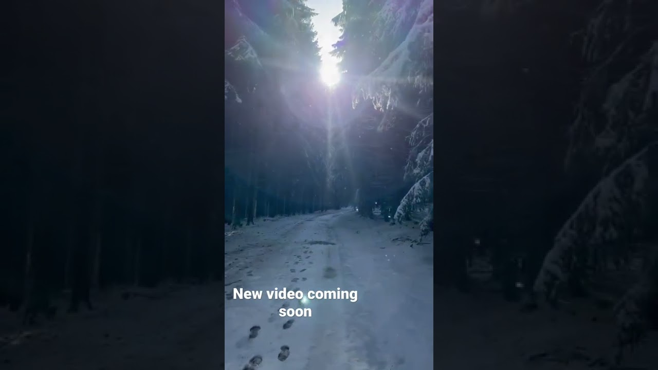 Wandern im Sauerland | Schneewanderung auf den Langenberg