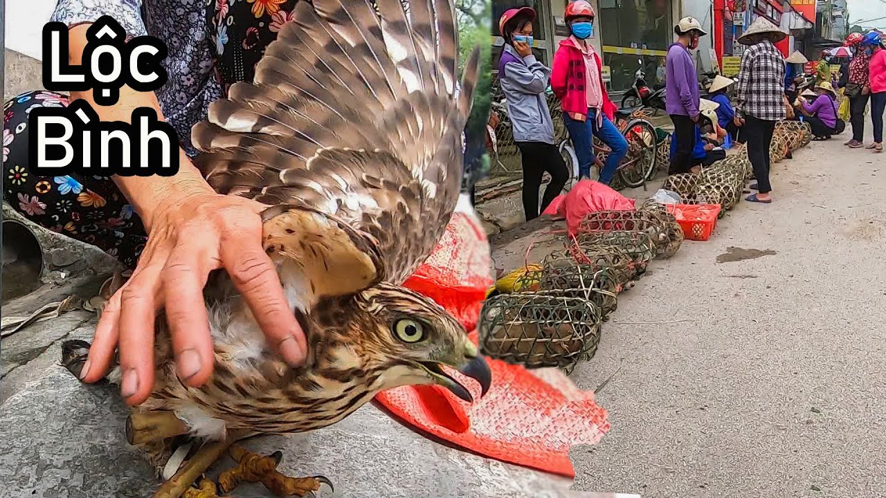 CHỢ PHIÊN LỘC BÌNH || DU LỊCH LẠNG SƠN
