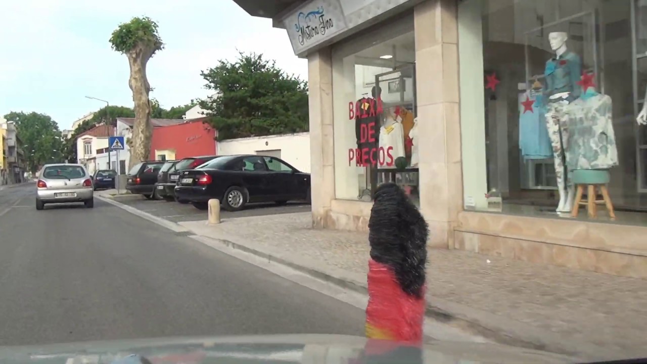 São João da Ribeira Boiças Rio Maior N114 Portugal 25.5.2017 #1221