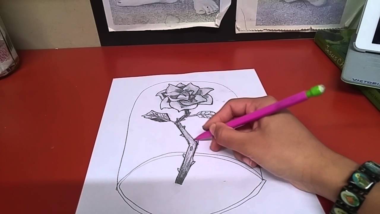Drawing Beauty And The Beast Flower Youtube