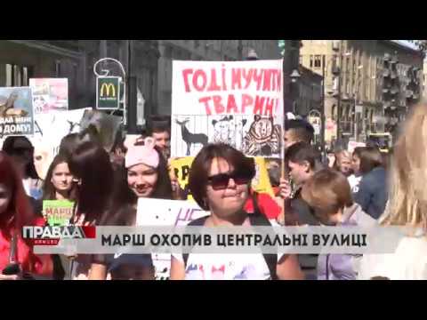 НТА - Незалежне телевізійне агентство: Більше пів тисячі людей вимагали у Львові гуманного ставлення до тварин НТА - Незалежне телевізійне агентство: Більше пів тисячі людей вимагали у Львові гуманного ставлення до тварин