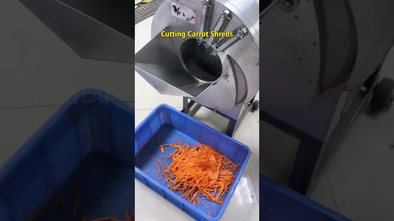 Fully Automatic Carrot Shredding Machine 822 Teemyeah Machinery