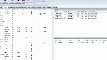 ChessBase 11 -- performing player searches in a database