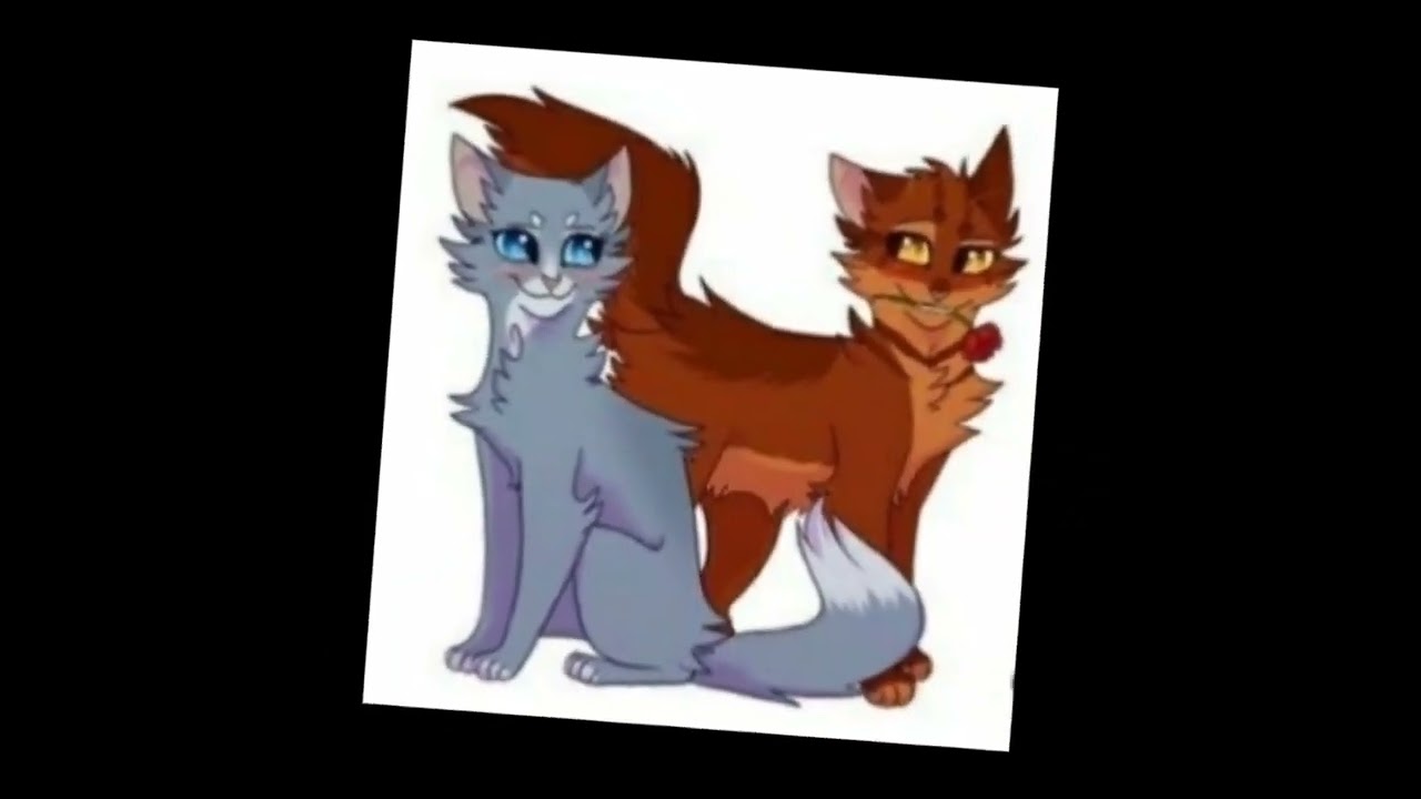 Cute Warrior cats couples