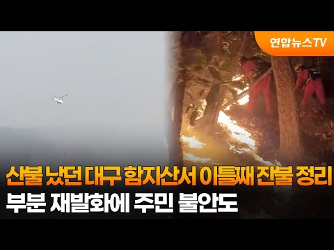 산불 났던 대구 함지산서 이틀째 잔불 정리…부분 재발화에 주민 불안도 / 연합뉴스TV (YonhapnewsTV)