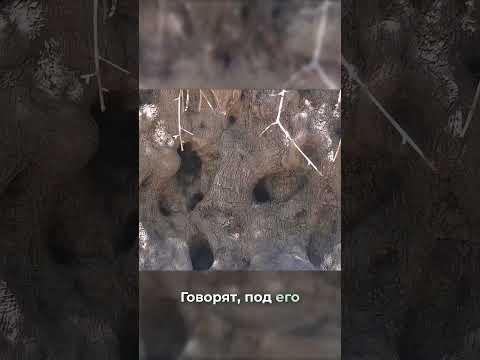 3000 лет истории