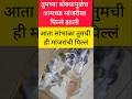 cat lover's - किती अवघड #maharashtra #मराठी #मराठीताज्याबातम्या #maharashtranews