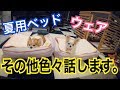 犬の夏用ベッド、外でしかオシッコしない時の対策