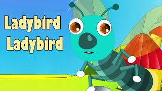 LADY BIRD - LADY BIRD | Magical Nursery Rhymes | Nursery Rhymes &amp; Kids Songs | Kids Cartoon