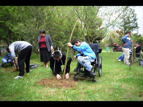 შშმ ბავშვებმა დიდ დიღომში კიპარისის ნერგები დარგეს