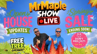 Spring Sale Ending Soon! | MrMaple Open House | Free Tree Giveaway