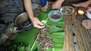 #163. Cuộc Sống Trong Đêm Mùa Đông, Phiêu Lưu Trong Rừng, Cuộc Sống Tự Nhiên