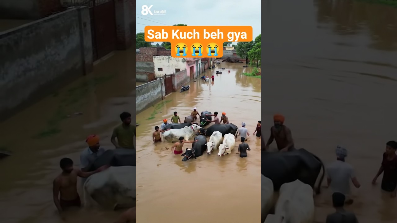 😱 Pakistan Flood 2025 | Punjab & Sindh Doob Gaye | Viral Shorts 🌊