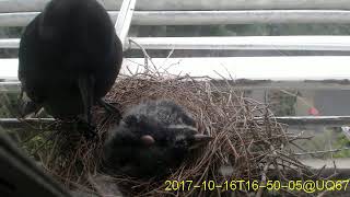 20171016T1630~1700