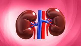 Causes, Symptoms and Treatment of Kidney Stones