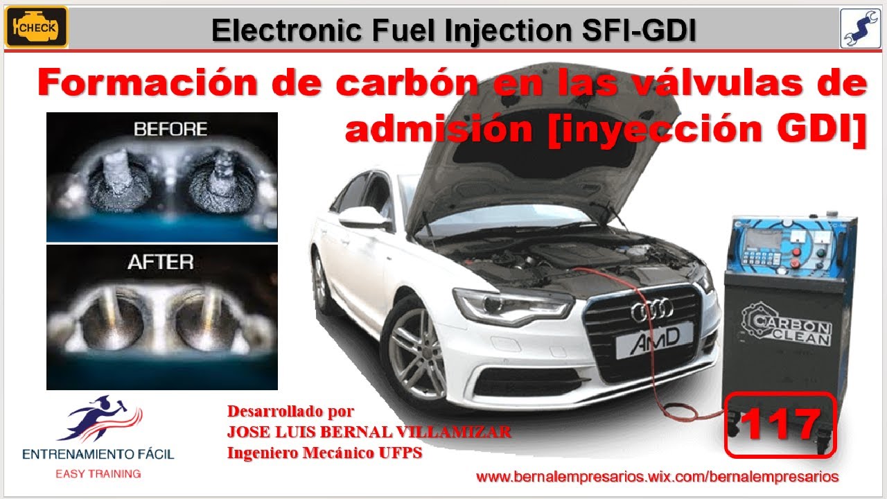 117-[Electronic Fuel Injection EFI] formación de carbón en las válvulas de admisión [inyección GDI]