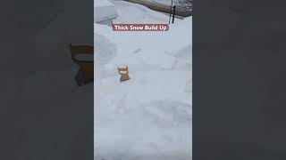 Thick Snow Build Up. Check .Simonbrend On How To Start Your Business .